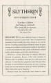 Фото Harry Potter and the Philosopher’s Stone. Slytherin Edition 5