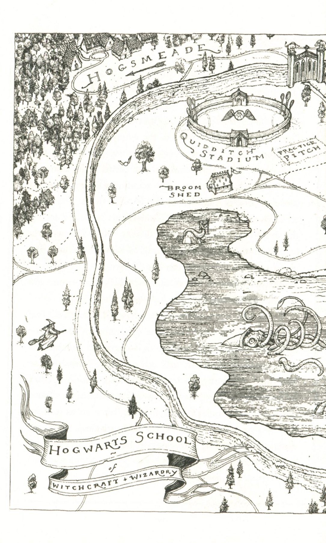 Hidden Product Image 8