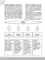 Фото STEM-проекти для початкової школи. Посібник для вчителя. 7