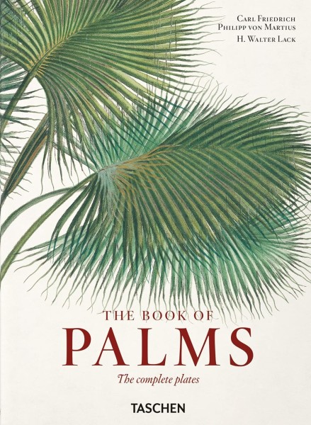 Фото The Book of Palms