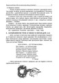 Фото Тематичні дні у 3 класі. Посібник для вчителя. 5