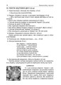 Фото Тематичні дні у 3 класі. Посібник для вчителя. 6