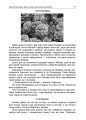 Фото Тематичні дні у 3 класі. Посібник для вчителя. 7