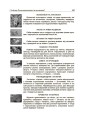 Фото Тематичні дні у 4-му класі. Посібник для вчителя. 7