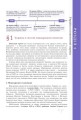 Фото Історія України. 11 клас. Профільний рівень 2