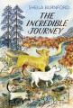 Фото The Incredible Journey 2