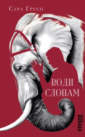 Води слонам