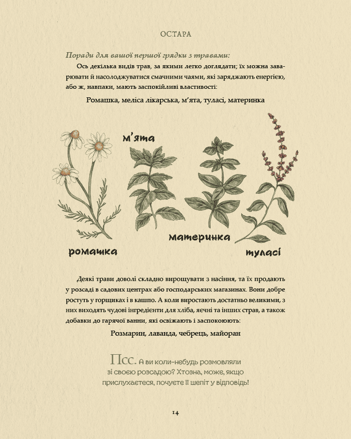 Hidden Product Image 10