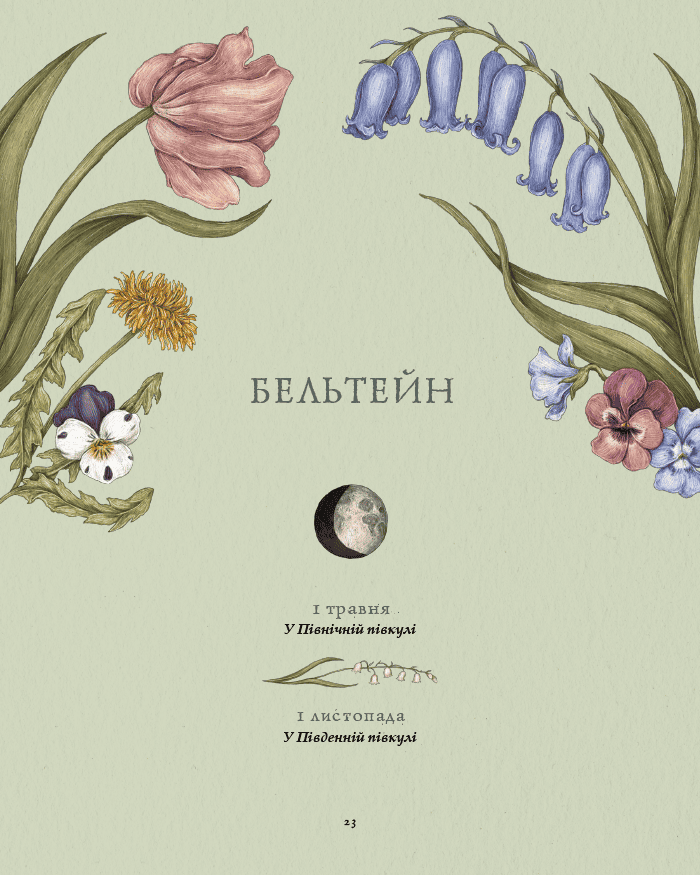 Hidden Product Image 13