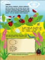 Фото Зелена книжка про комашок 2