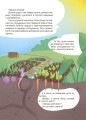 Фото Дивовижні перетворення. Навіщо такі хвости 2