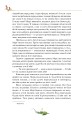 Фото Таємний сад 4