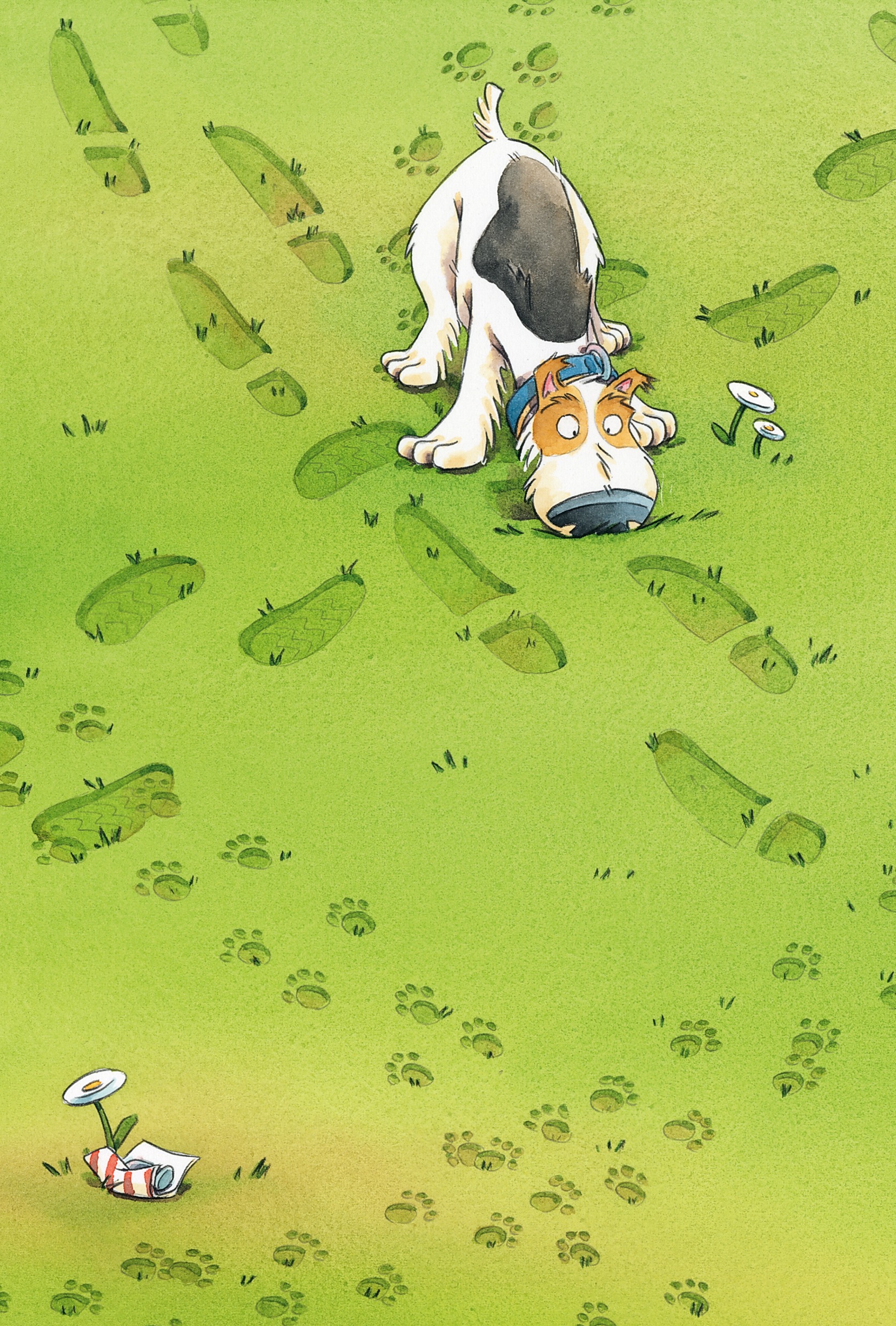 Hidden Product Image 12