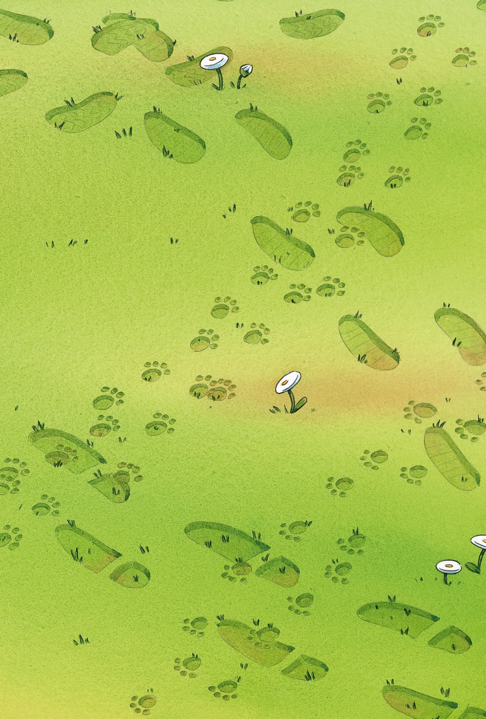 Hidden Product Image 13