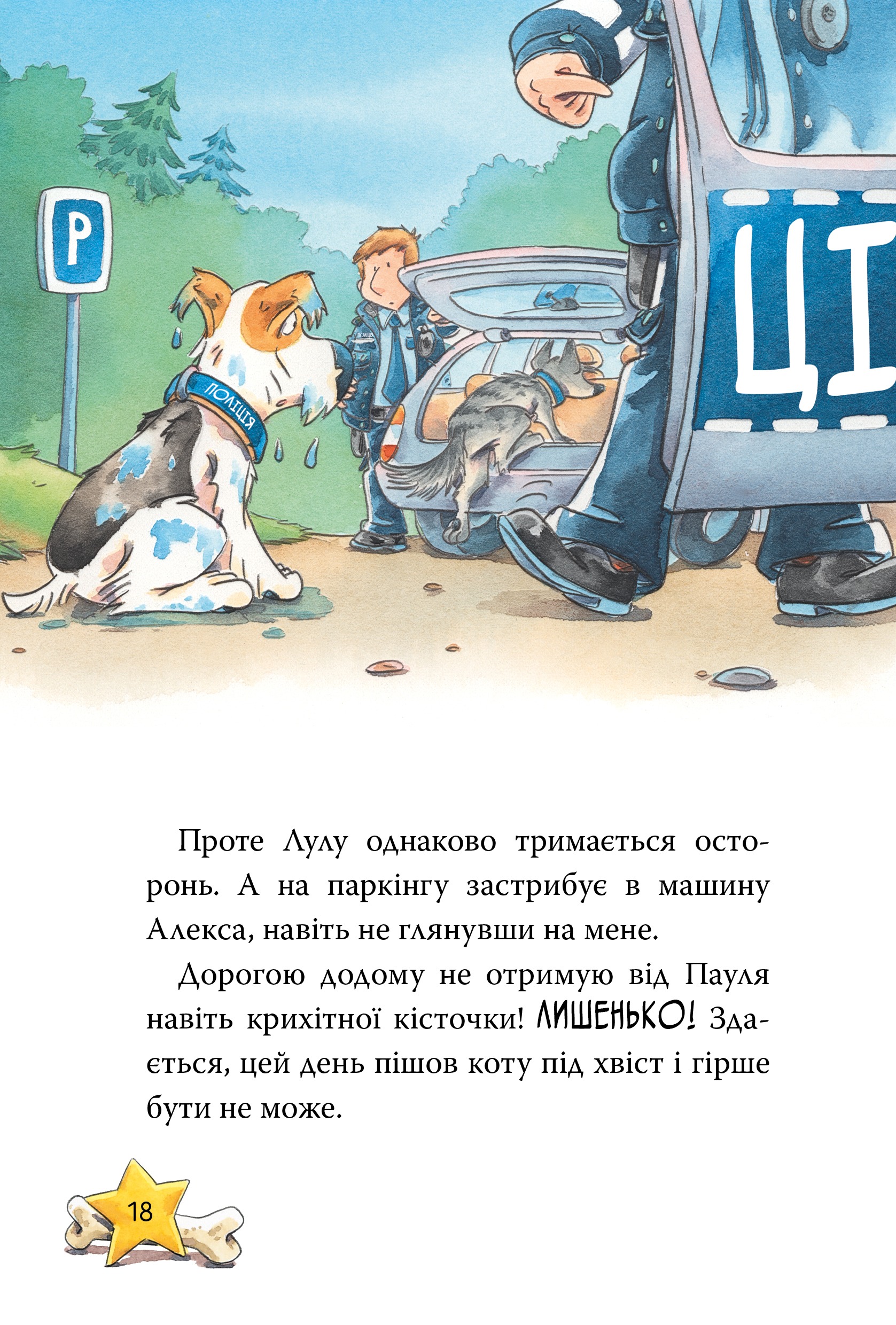 Hidden Product Image 10