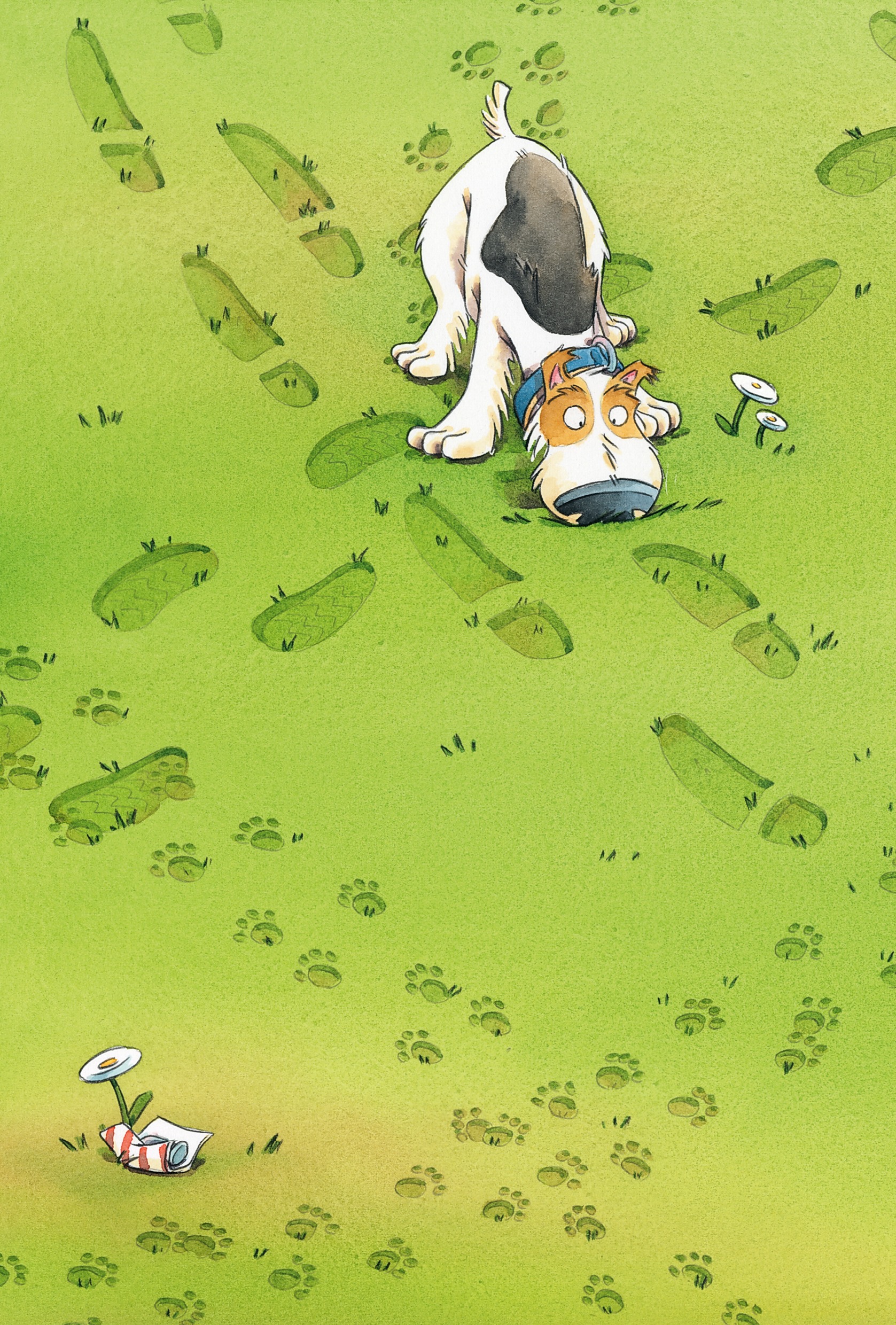 Hidden Product Image 14