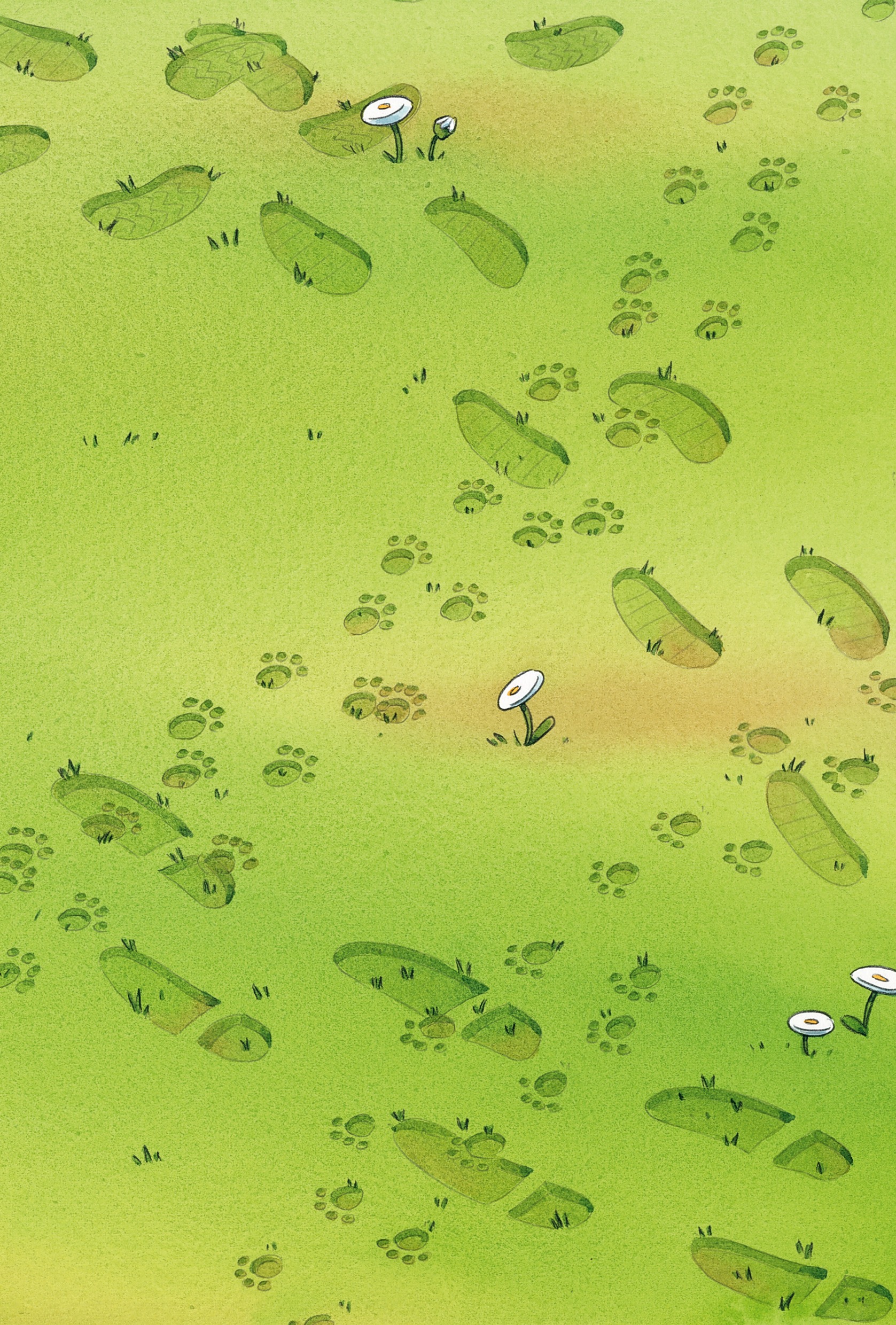 Hidden Product Image 15