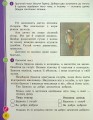 Фото Українська мова та читання. 2 клас. Навчальний посібник у 6-ти частинах. Частина 6 5