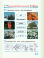 Фото Я досліджую світ. 1 клас. Робочий зошит. Частина 2 2