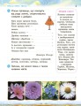 Фото Ми - українці. Зошит з патріотичного виховання. 3 клас 3