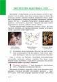 Фото Мистецтво. 5 клас. Підручник 2