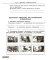 Фото Здоров'я, безпека та добробут. 6 клас. Робочий зошит до чинних підручників 2