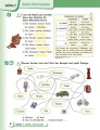 Фото НУШ 6 клас. Німецька мова. Підручник "Deutsch mit Truffel!" (6-й рік навчання) 2
