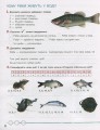 Фото Зошит дослідника. 3 клас. Частина 2. До підручника Іщенко О. Л. та ін. 6