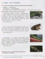 Фото Зошит дослідника. 3 клас. Частина 2. До підручника Іщенко О. Л. та ін. 7
