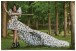Фото Vogue. Fantasy & Fashion 3