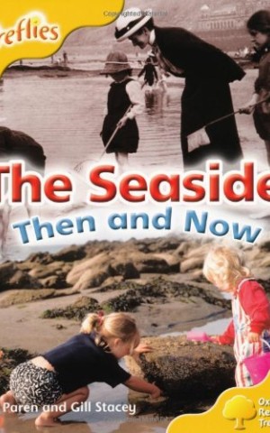 Oxford Reading Tree: Level 5: More Fireflies A. The Seaside