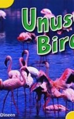 Oxford Reading Tree: Level 5: More Fireflies A. Unusual Birds