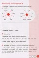 Фото Робочий зошит з української мови та читання. 3 клас. Частина 1. До підр. Іщенко О. Л., Іщенко А. Ю. 4