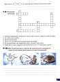 Фото Етика. 5 клас. Зошит. Поточне і підсумкове оцінювання 5
