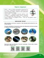 Фото Біологія. Зошит для проєктних робіт 7 клас 8