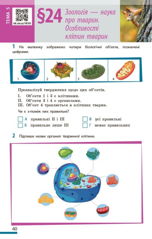 Hidden Product Image 11