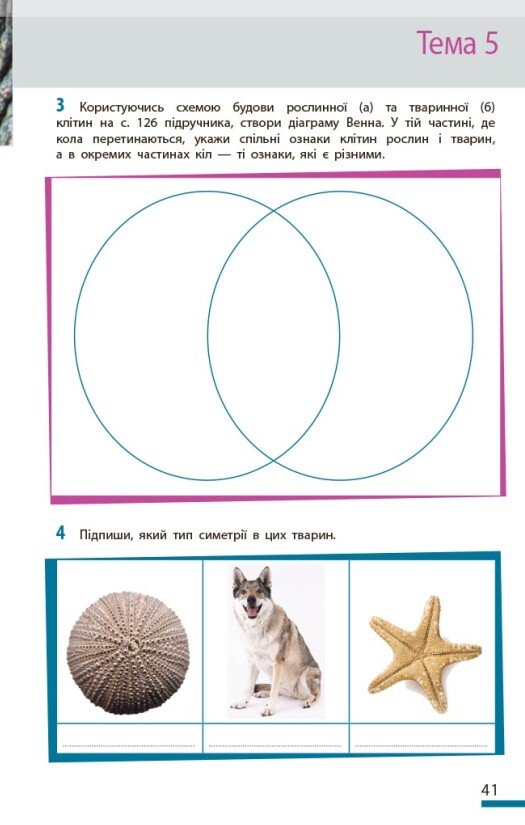 Hidden Product Image 12