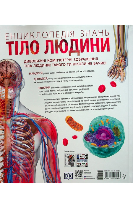 Енциклопедія знань. Тіло людини, Пітер Крісп — купити книгу за