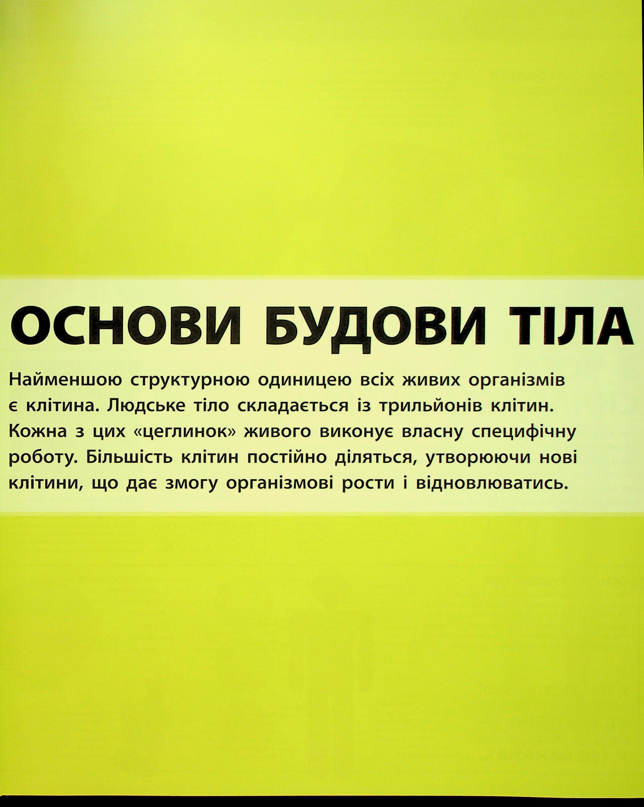 Hidden Product Image 6