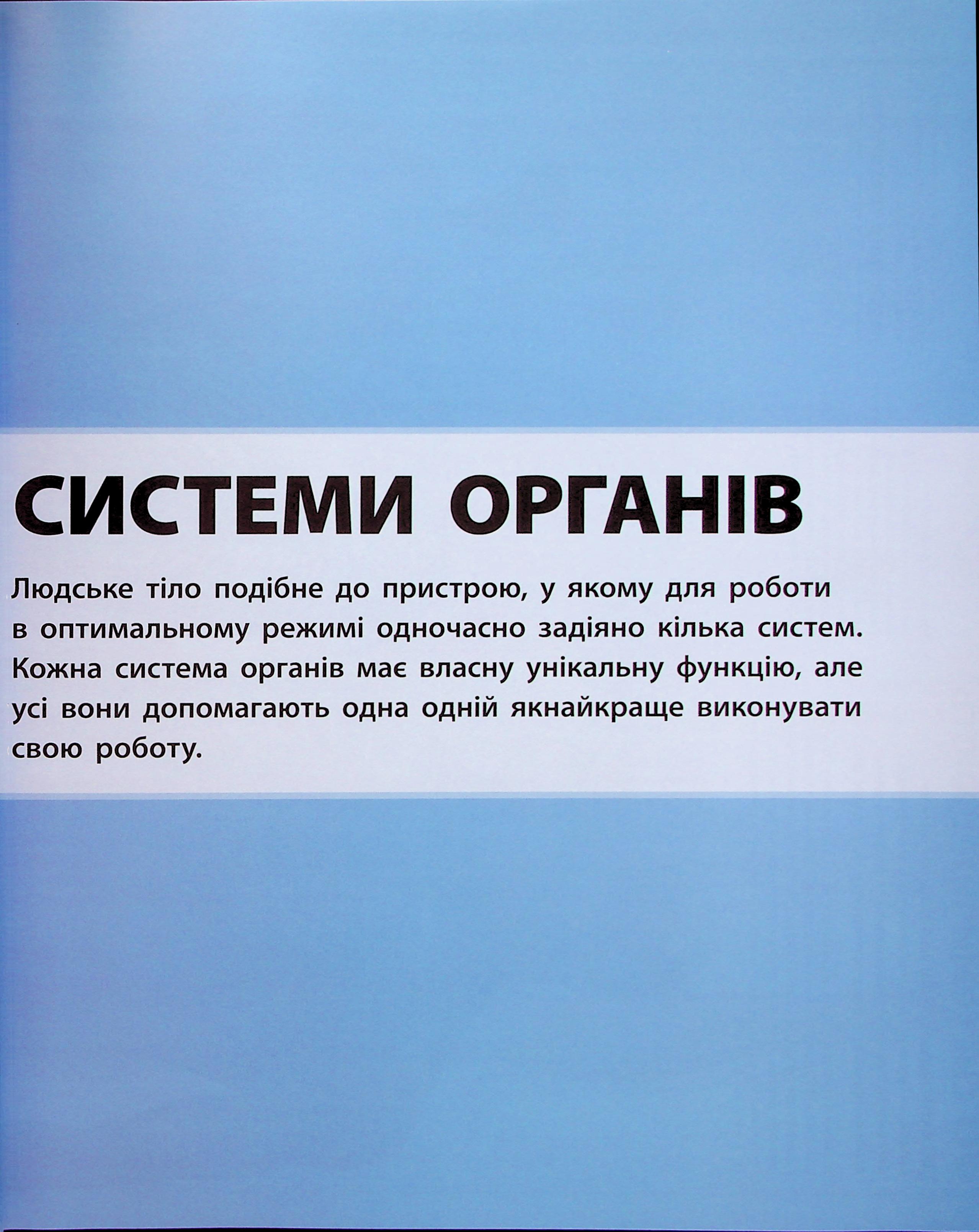 Hidden Product Image 16