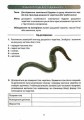 Фото Біологія. 7 клас. Зошит для лабораторних досліджень та практичних робіт 2