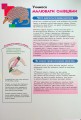 Фото KUMON. Учимося малювати олівцями 3