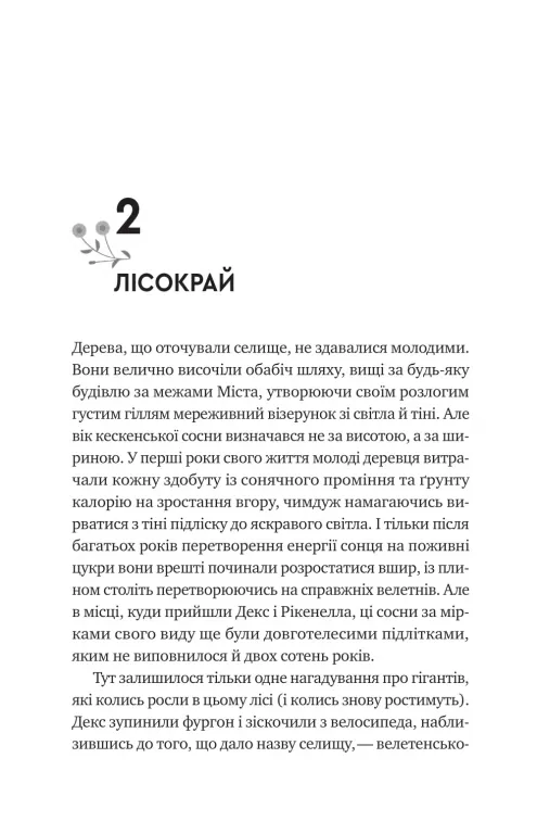 Hidden Product Image 13