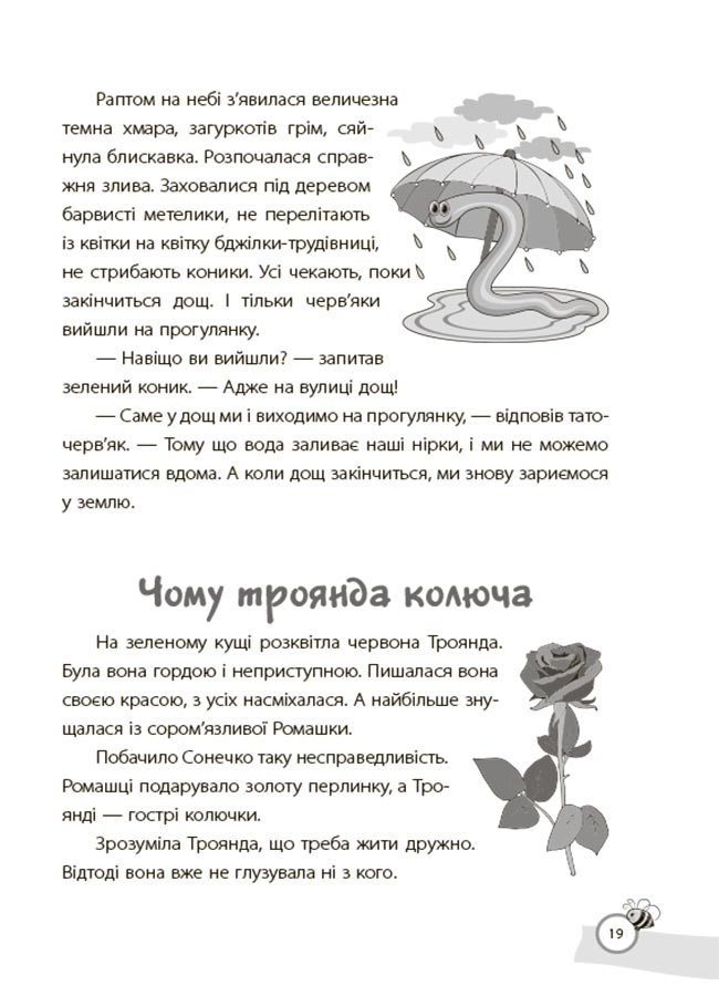 Hidden Product Image 10