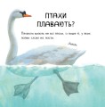 Фото В гостях у природи. Птахи різні та дивовижні 4