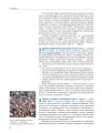 Фото Всесвітня історія (профільний рівень). Підручник для 11 класу 7
