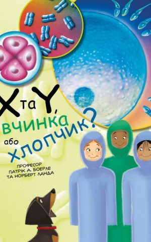 X та Y, дівчинка або хлопчик?