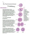 Фото X та Y, дівчинка або хлопчик? 8