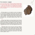 Фото Привіт землянине! 5