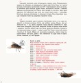 Фото Привіт землянине! 6